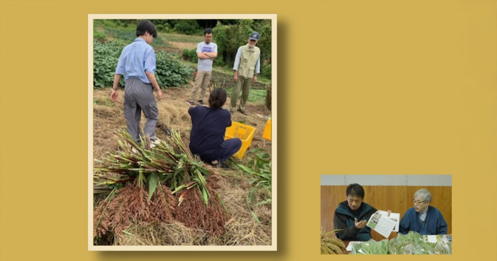 「種をつなぐ、暮らしをつなぐ。」 ―雑穀と里山から始まる“共生進化”のかたち
